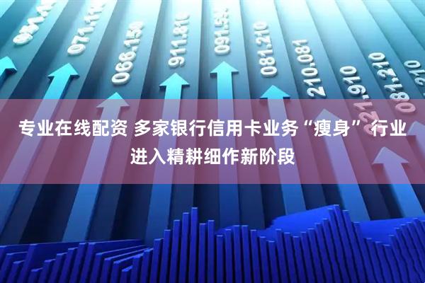 专业在线配资 多家银行信用卡业务“瘦身” 行业进入精耕细作新阶段