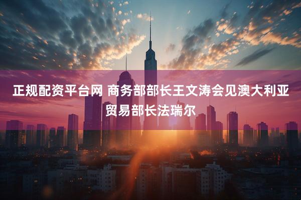 正规配资平台网 商务部部长王文涛会见澳大利亚贸易部长法瑞尔
