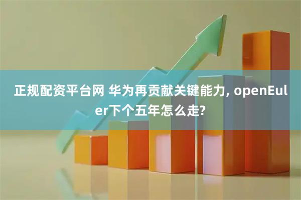 正规配资平台网 华为再贡献关键能力, openEuler下个五年怎么走?