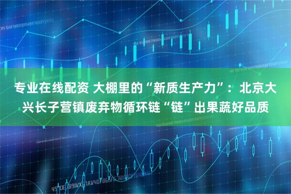 专业在线配资 大棚里的“新质生产力”：北京大兴长子营镇废弃物循环链“链”出果蔬好品质