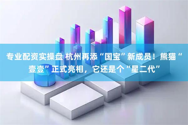 专业配资实操盘 杭州再添“国宝”新成员！熊猫“壹壹”正式亮相，它还是个“星二代”