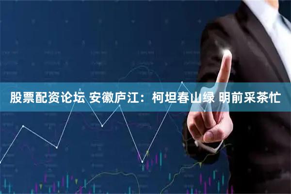 股票配资论坛 安徽庐江：柯坦春山绿 明前采茶忙