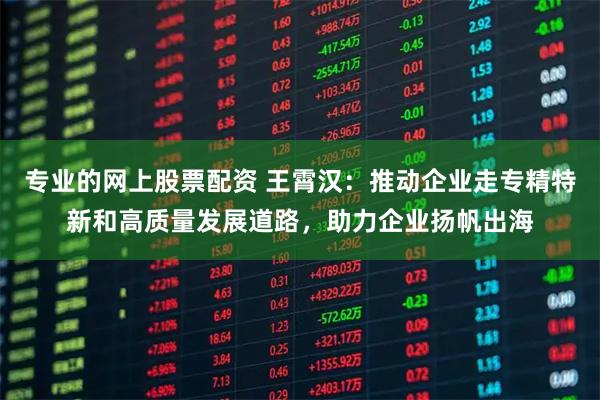 专业的网上股票配资 王霄汉:推动企业走专精特新和高质量发展道路,助力企业扬帆出海